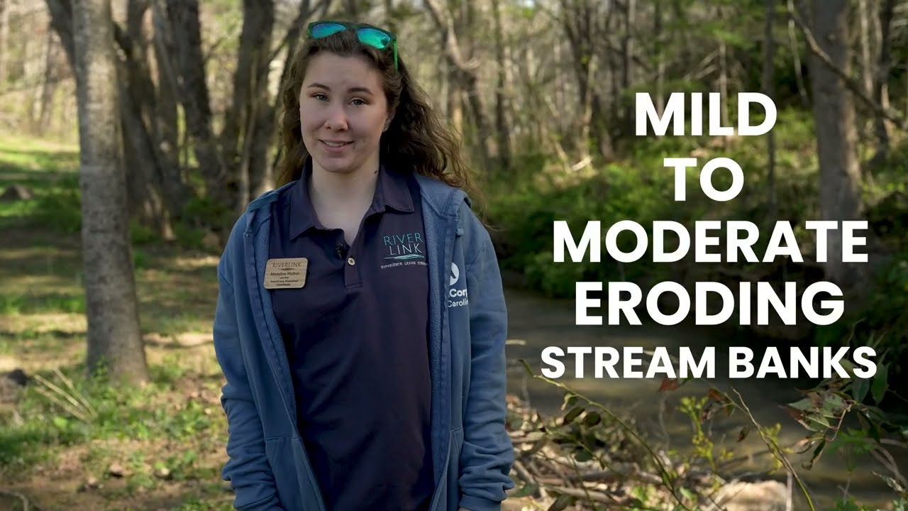 How to Repair Eroded Stream Banks | Natural Techniques That Actually Work