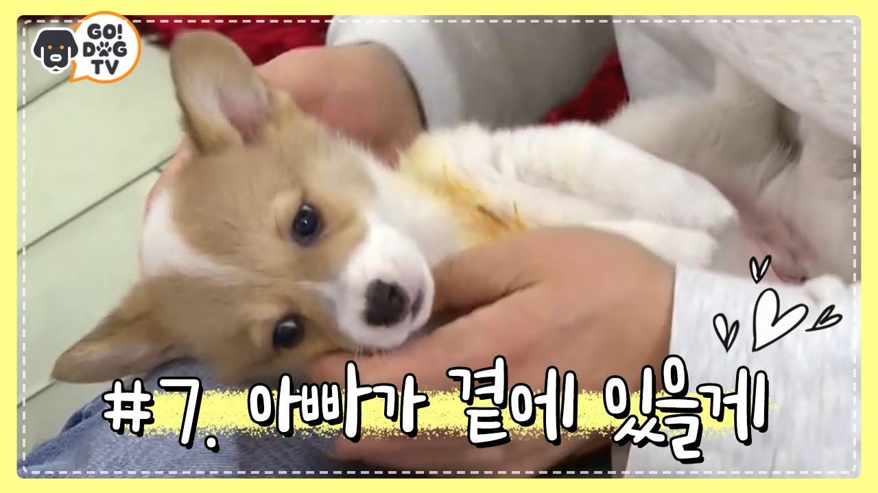 [고독TV] 다정다감 주병진♡ 아픈 막내 '소'를 위한 특별관리! #대중소_성장기 | 개밥주는남자