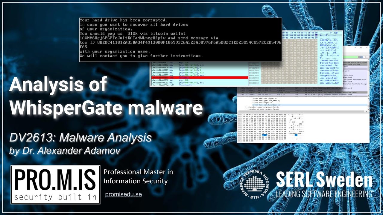 PROMIS Malware Analysis (DV2613) - Analysis of WhisperGate malware