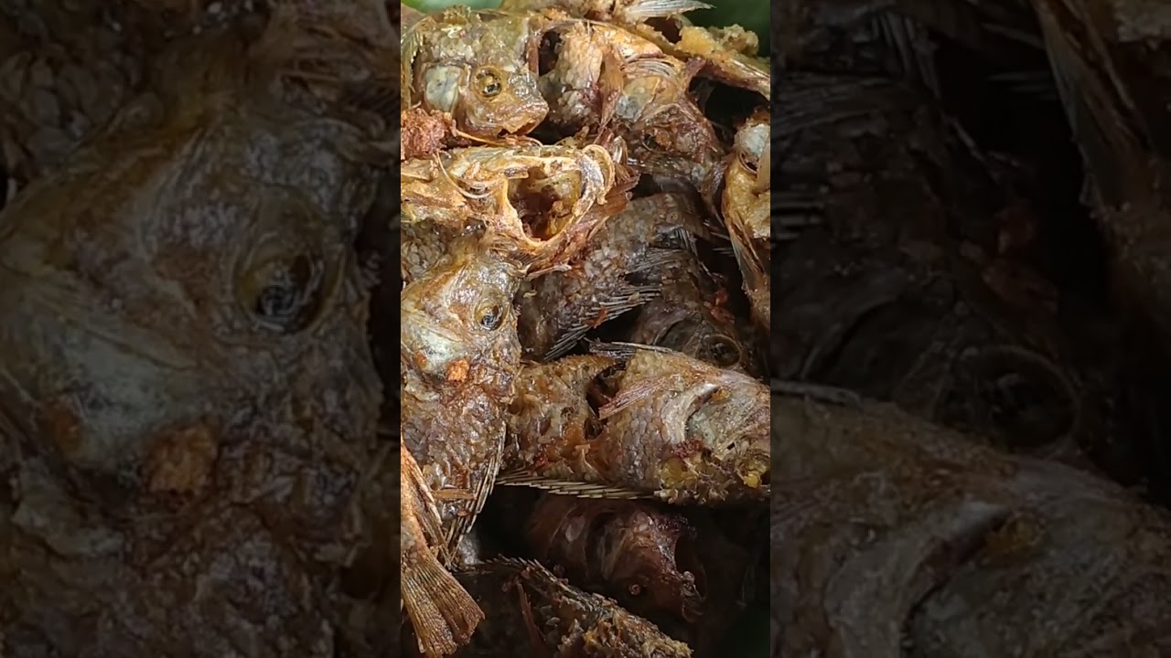 goreng ikan nila di goreng sangat garing#shortsfeed