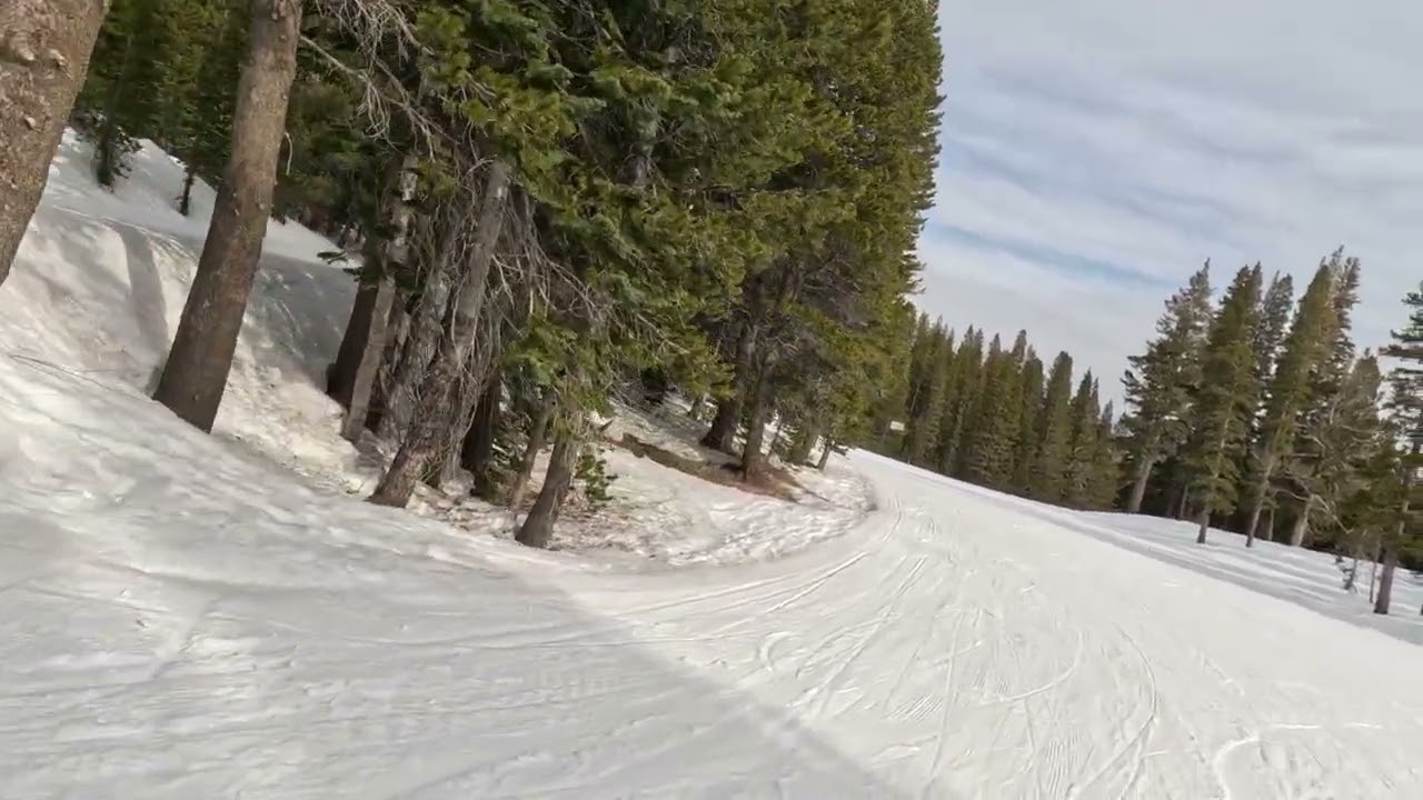 mt rose warlock