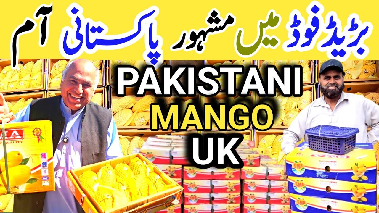 Pakistani Famous Mango in UK 🇬🇧 | Pakistani Man Saling Mango on Road Corner in Bradford 