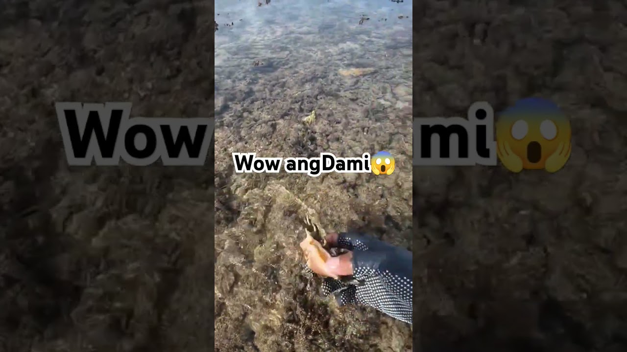 angdaming sahang #fishing #youtube #angler #shell