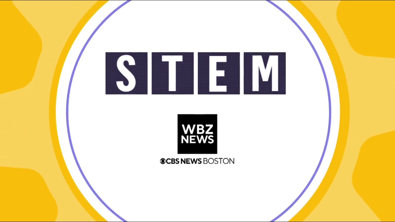 Программа WBZ &laquo;STEM начинается сейчас: как инновации формируются по всему Массачусетсу&raquo;