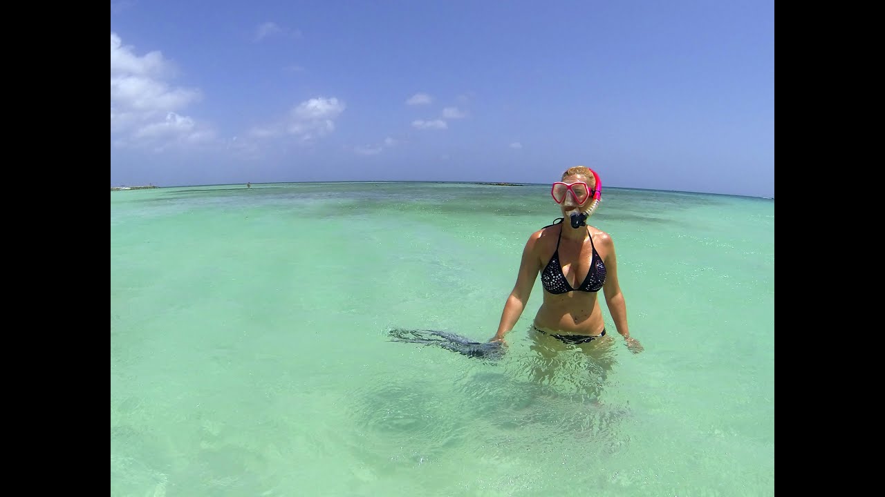 Snorkeling at Palm Beach, Aruba