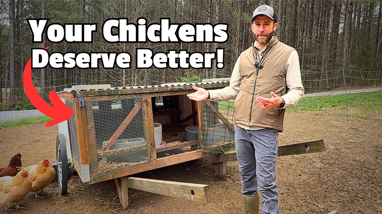 Watch this BEFORE Building a Chickshaw!