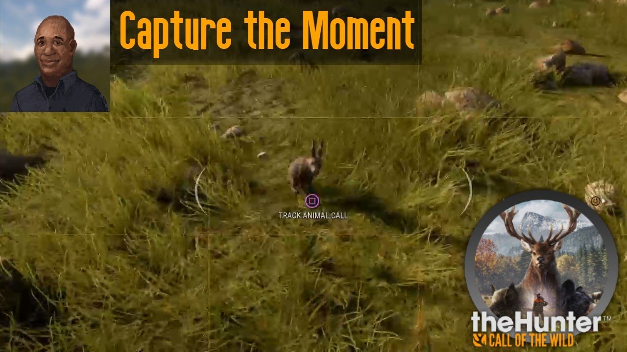 Capture the Moment theHunter Call of the Wild