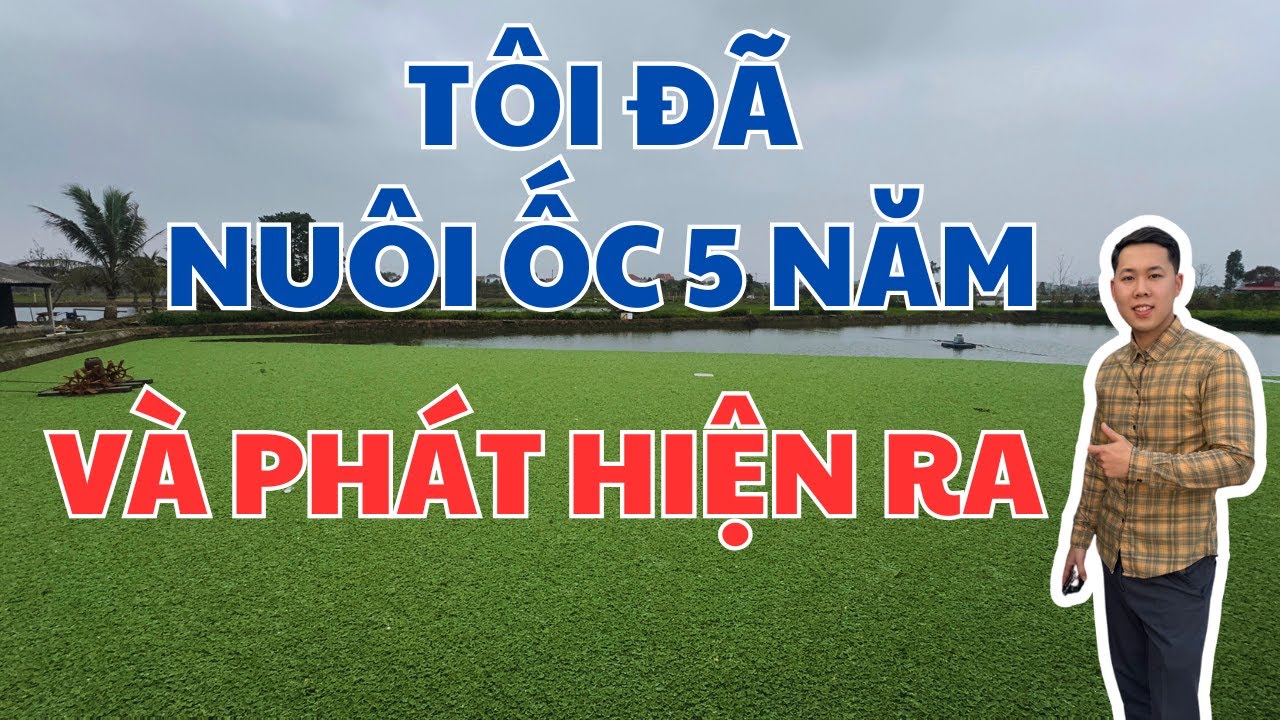 Tôi đã trải qua 5 năm nuôi Ốc Nhồi và PHÁT HIỆN ra điều này