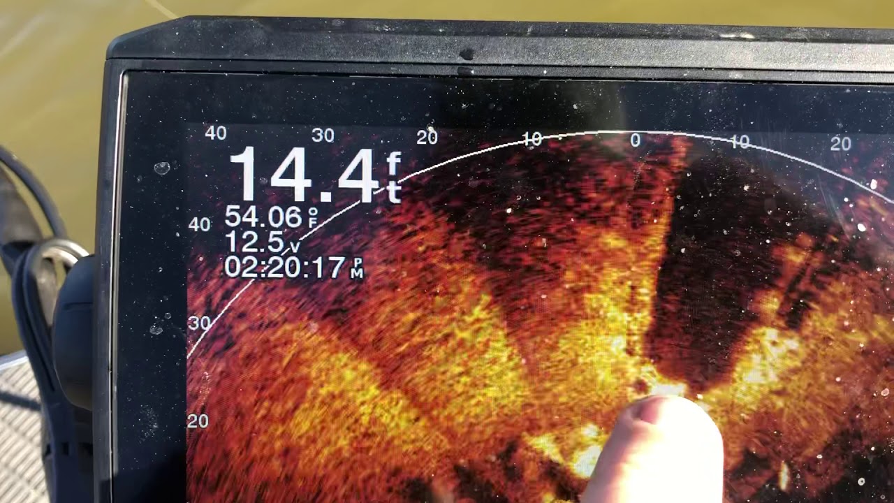Окунь гонится за мелкой рыбой в перспективном режиме Garmin Livescope