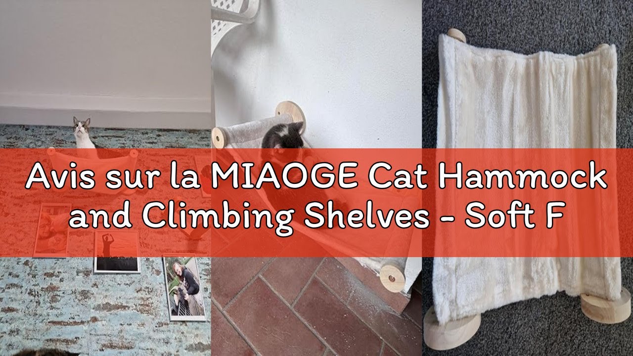 Avis sur la MIAOGE Cat Hammock and Climbing Shelves - Soft Flannel Beds and Perches Wall Mounted (Gr