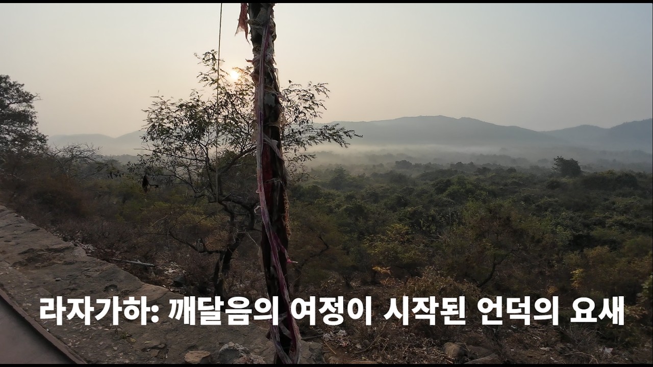 인도 성지순례(인도여행) 3일차 불교 8대 성지 라즈기르_영축산, 죽림정사 [한국불교상담학회]