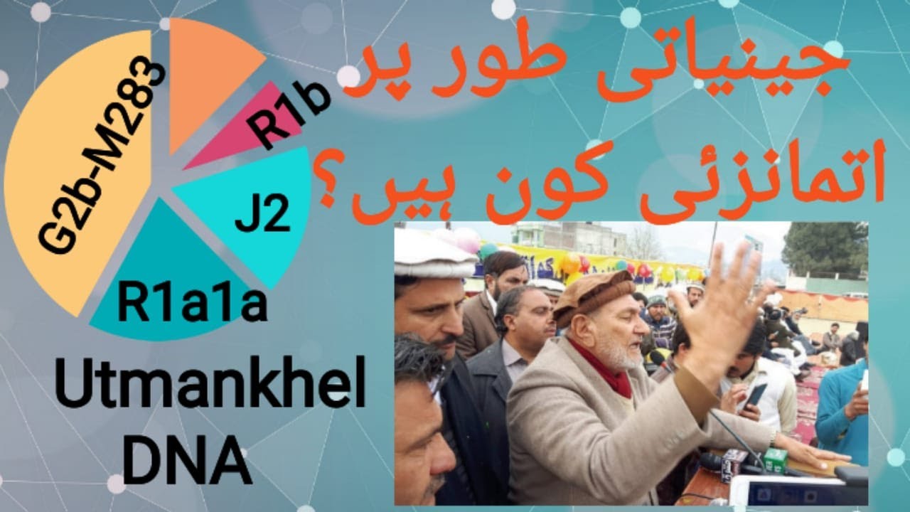 Utmankhel DNA! Pashtun DNA جینیاتی طور پر اتمانزئی کون ہیں؟
