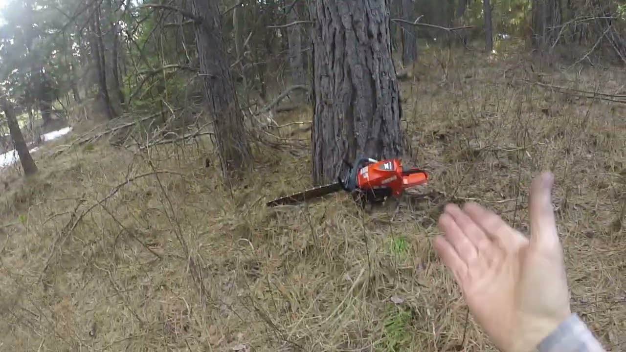Echo CS-7310P (no W yet..). First outing Into The Wilds.