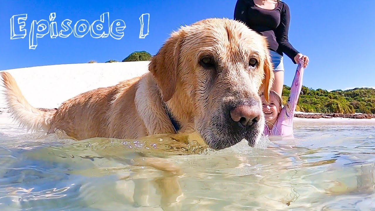 4 Month Caravanning Tour of WA with our dogs | Living off the land