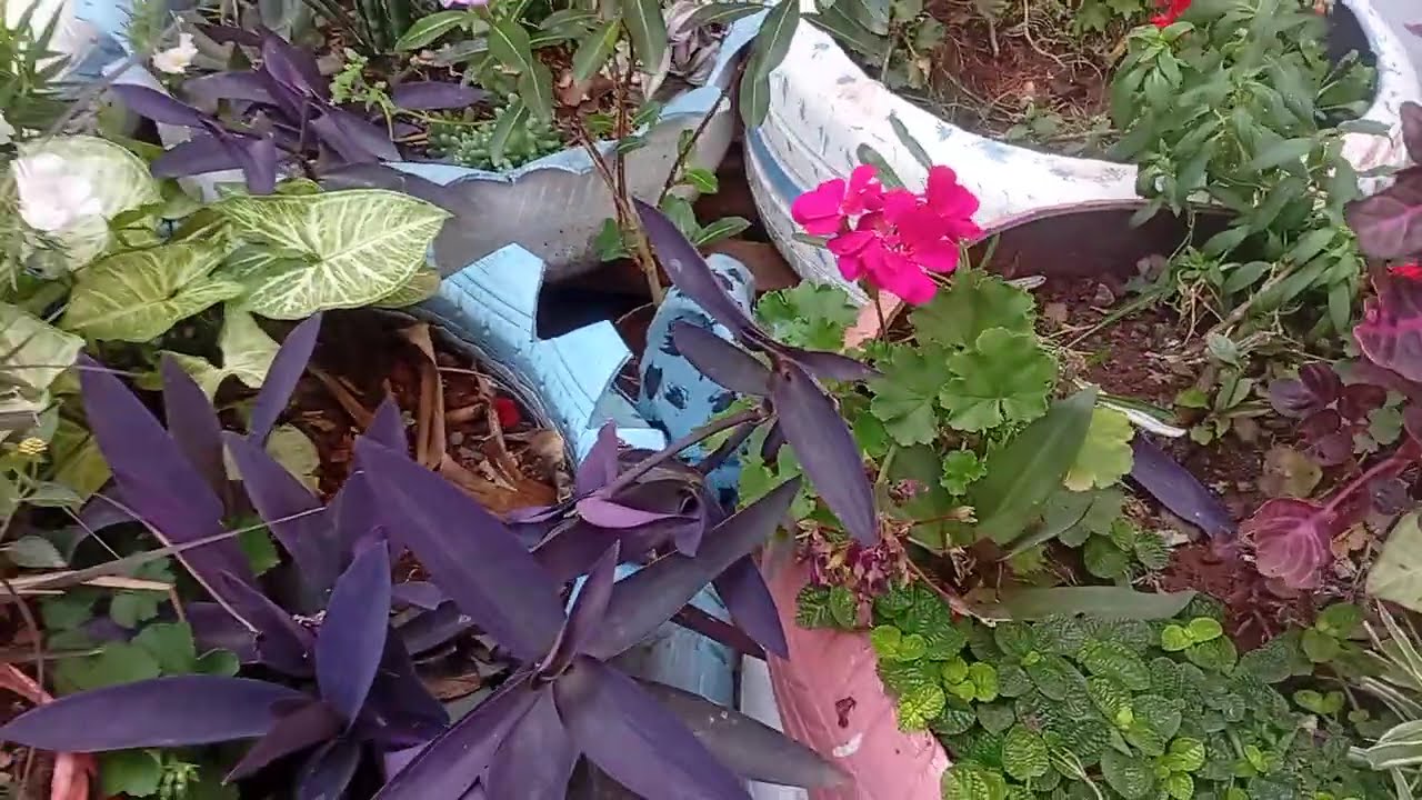 Breathing new life into forgotten objects #terracegarden #upcycling 