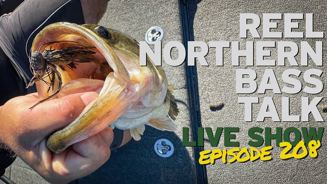 Reel Northern Bass Talk Livestream!
