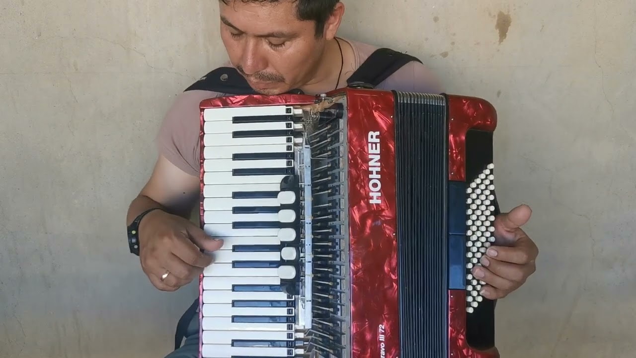 tutorial de acordeón - Gato negro Kaluyo Nivardo Melean MH @MeleanGhofficial