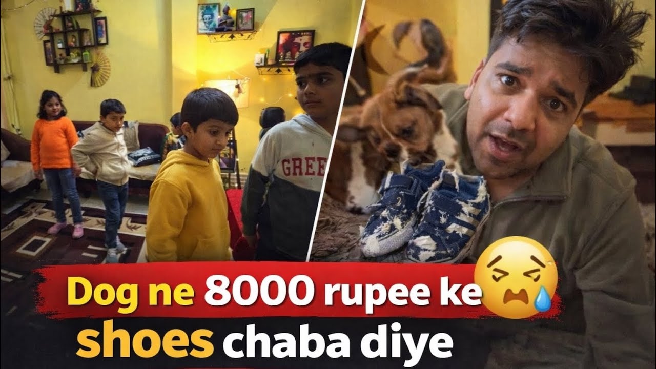 Dog ne ₹8000 ke Shoes Chaba Diye 😣 | Daily Family Vlog| lill party today |
