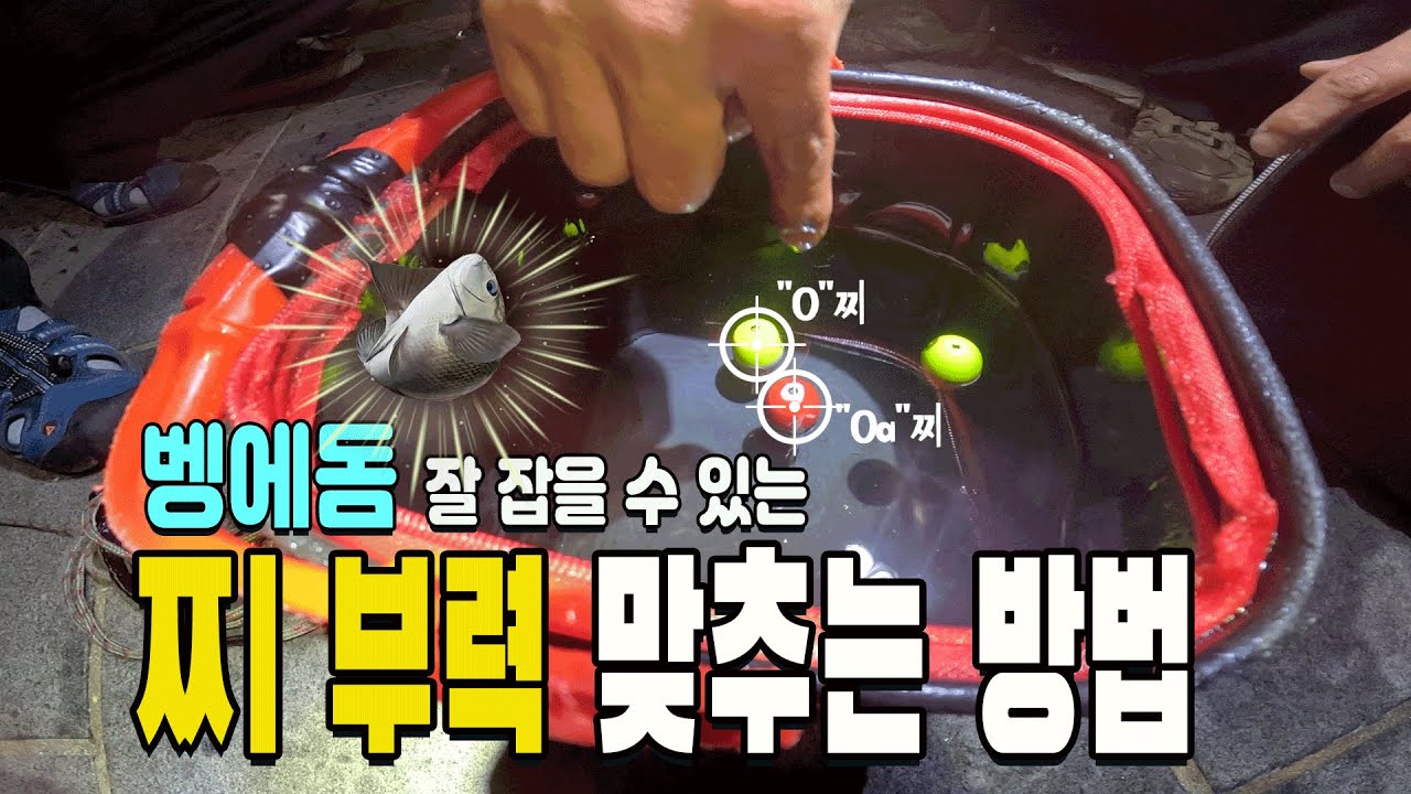 🐟.실전에서 잘 잡는 조사가 알려주는 