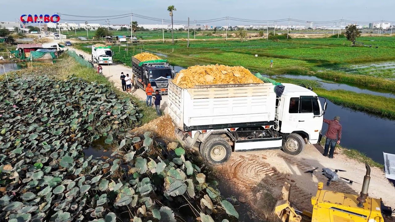 Nicely! Start Project Landfill by Expert Driver 5T Trucks Unloading SoilRock&Dozer KOMATSU D31P Push