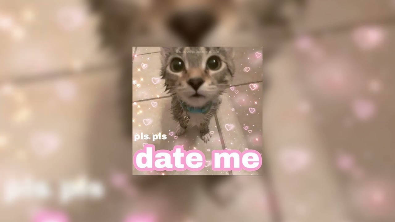 my crush - # tag // sped up