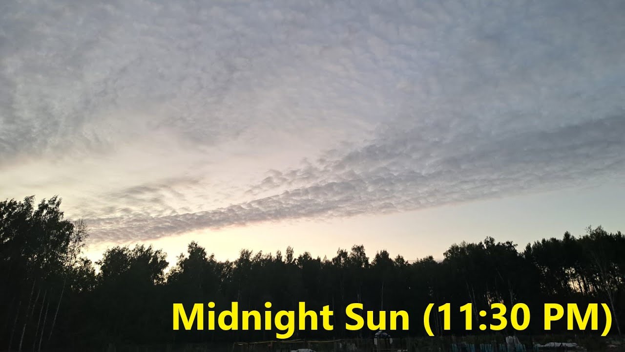 Midnight Sun Magic! Harvesting Our Thriving Summer Farm in Finland (Finnish Midsummer Vlog)