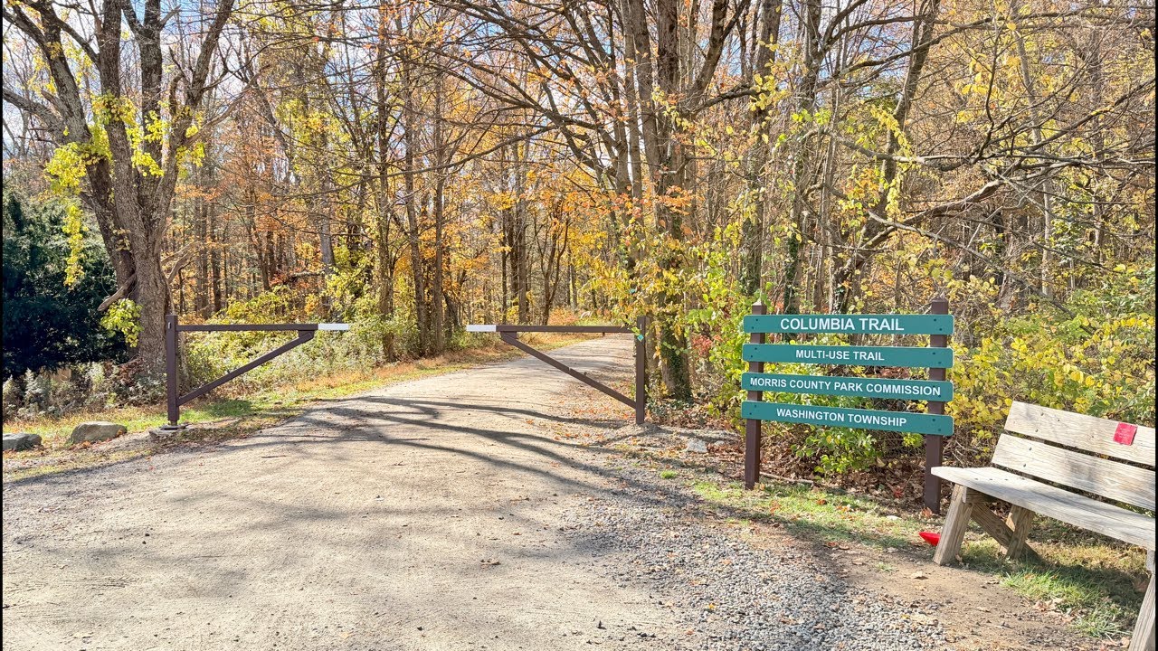 Прогулка по тропе наблюдения за осенней листвой и регистрация