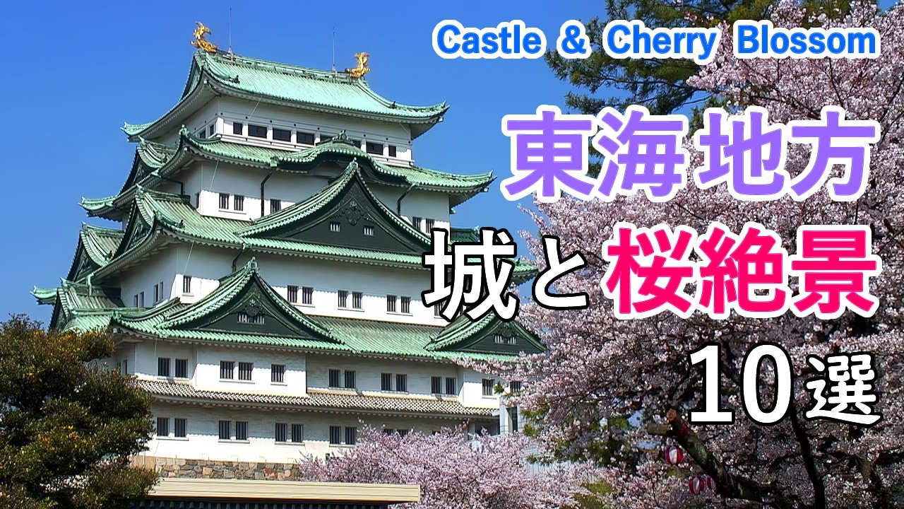 東海地方の桜名所！城と桜絶景ベスト10選！ / 名古屋城・犬山城・岡崎城・岐阜城など / 10 Best Castle and Cherry Blossom in Tokai, Japan