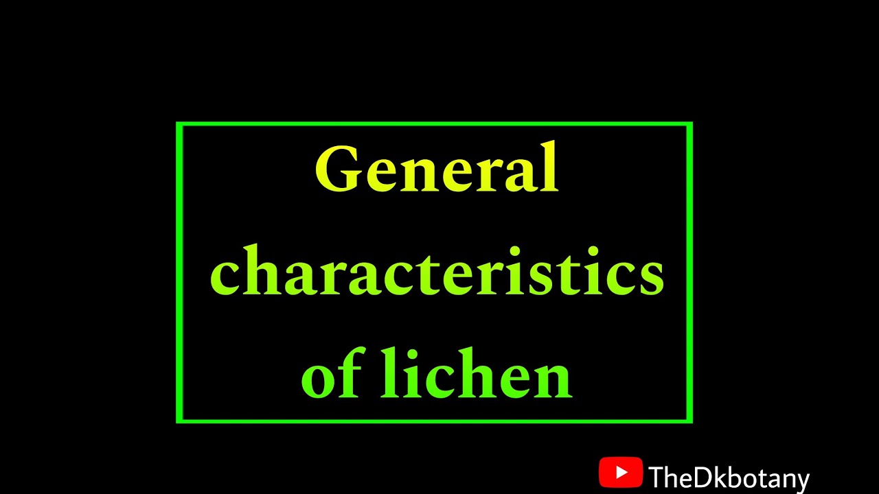 what is lichen / general characteristics of lichen