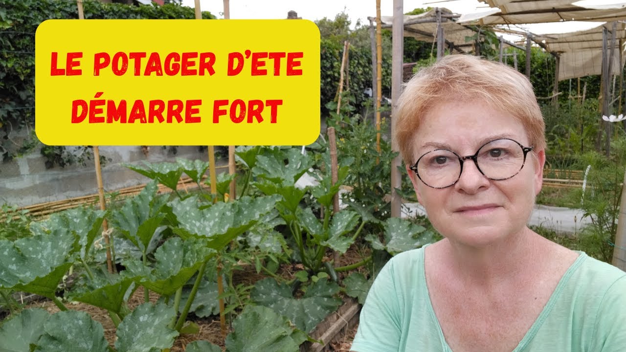 UN PETIT POTAGER EN FORME AVANT LES CANICULES...