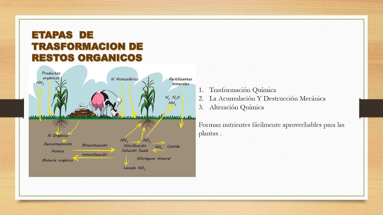 MINERALIZACIÓN Y DESNITRIFICACIÓN DEL SUELO