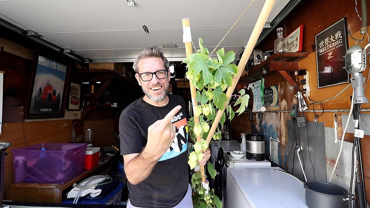 Homegrown Hops vs Pellet Hops