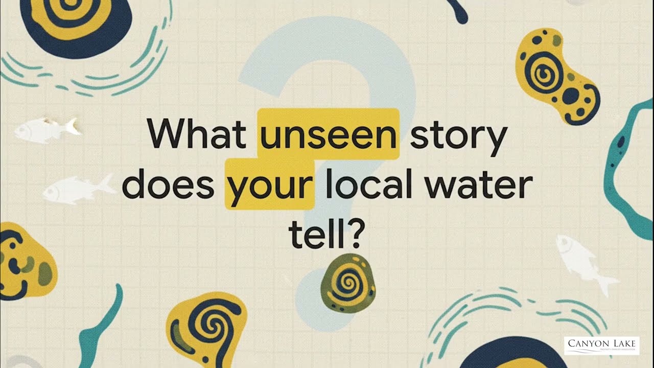 The Algae Problem | Lake Education Series