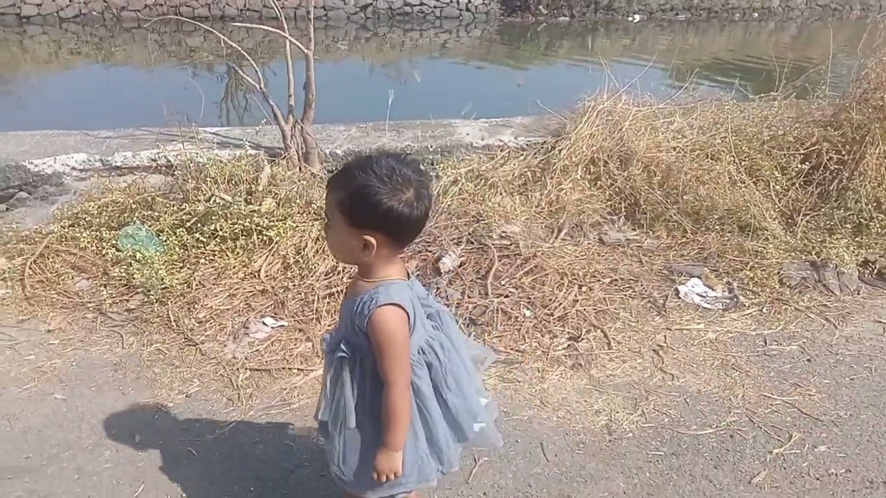മീൻ കെട്ടും മീൻ മാർക്കറ്റും
