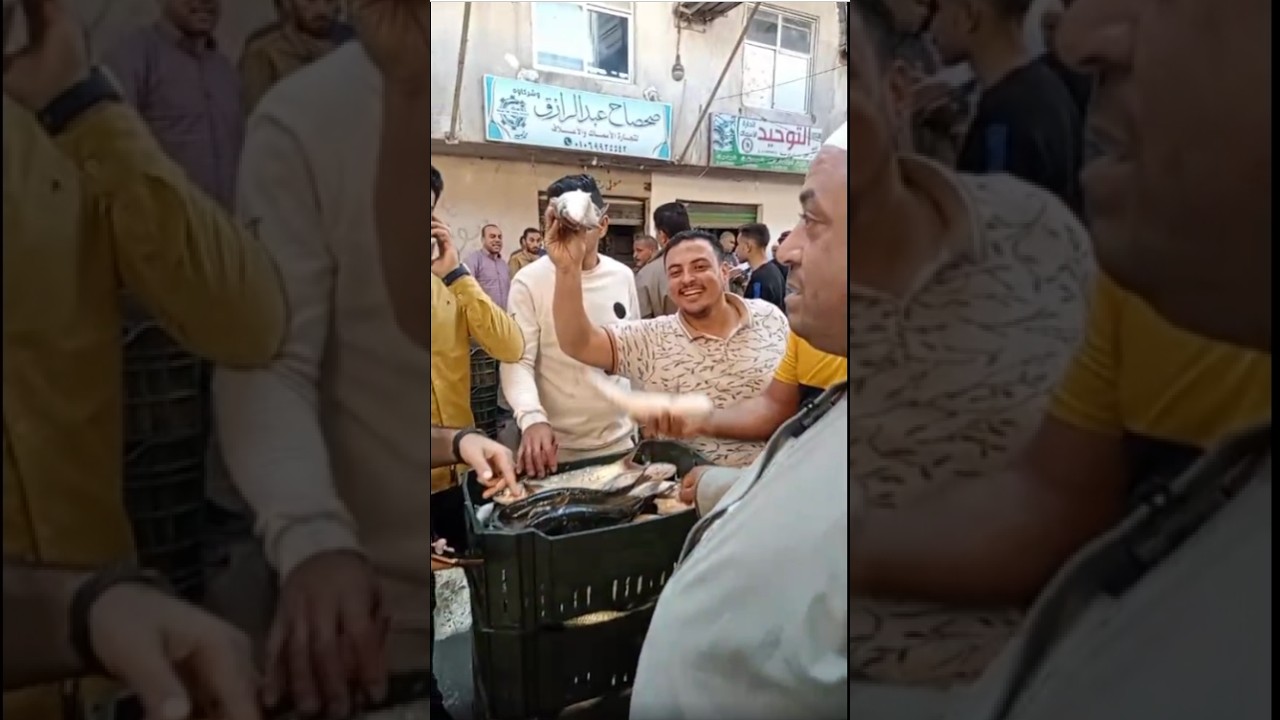أسطول عربيات والسمك زي الرز أكبر بورصة لتداول البلطي والبوري 