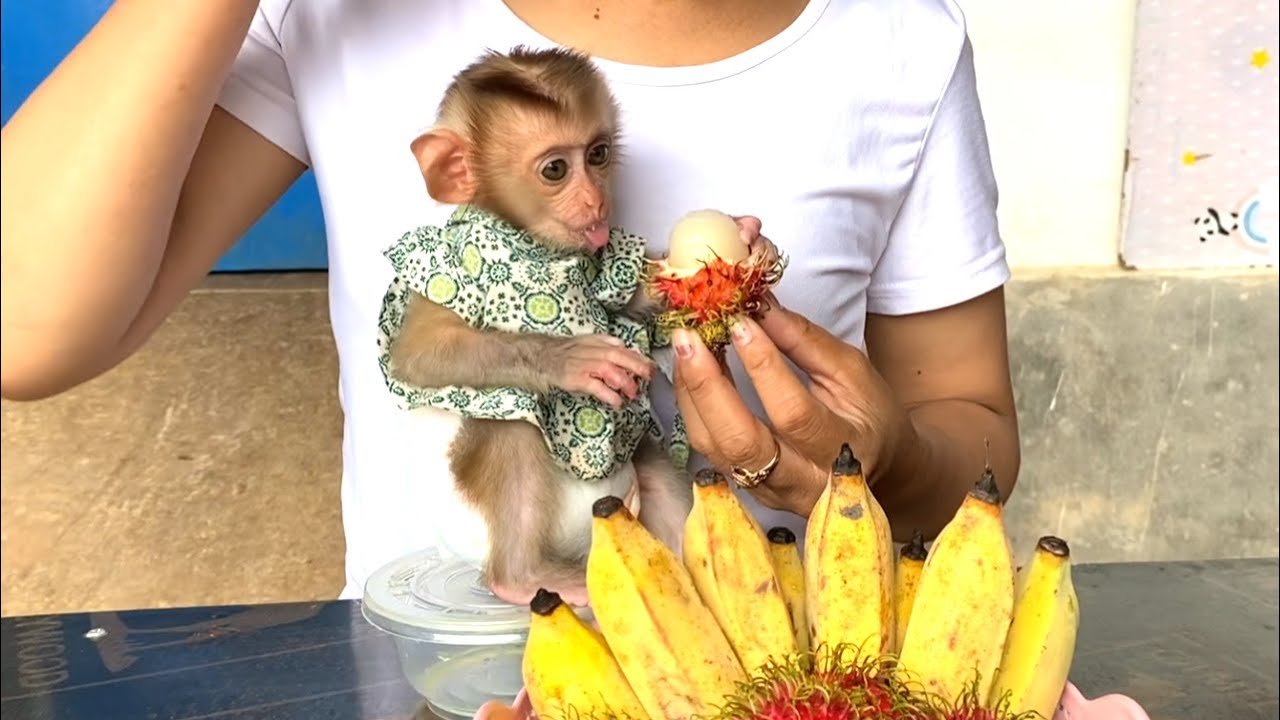 Wow!! Little Princess LIORA was surprised when she tasted the Rambutan fruits