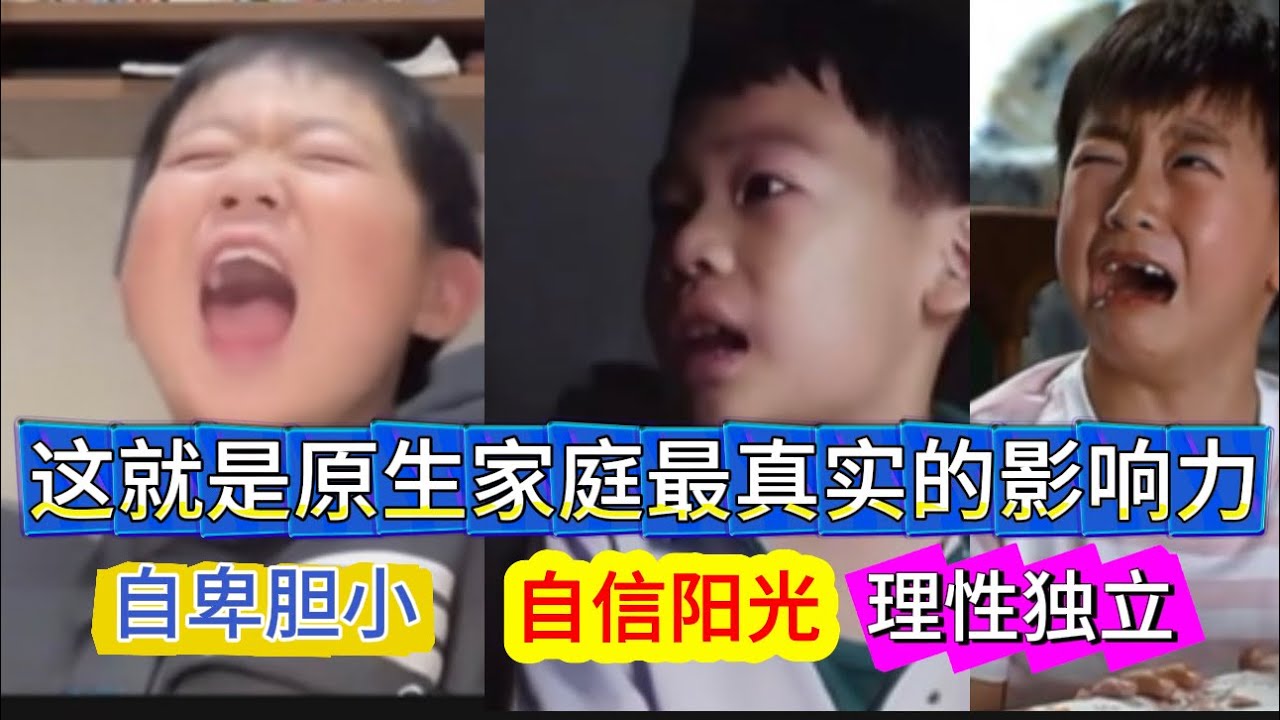 不同原生家庭，会养出完全不同的孩子｜很多人的一生都在治愈童年｜Reaction Video