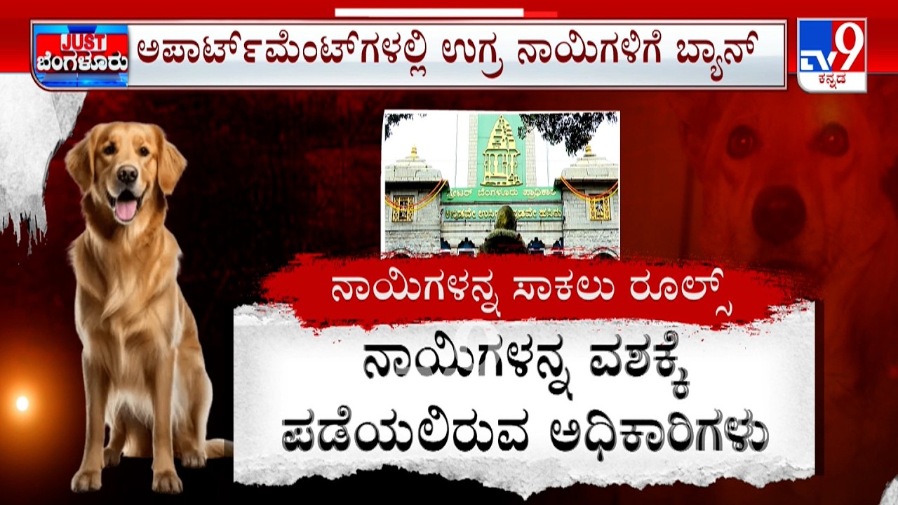 GBA Orders New Rules For Pet Dog Owners Bengaluru: ಸಾಕು ನಾಯಿಗಳಿಗೆ ಜಿಬಿಎಯಿಂದ ಹೊಸ ರೂಲ್ಸ್​!