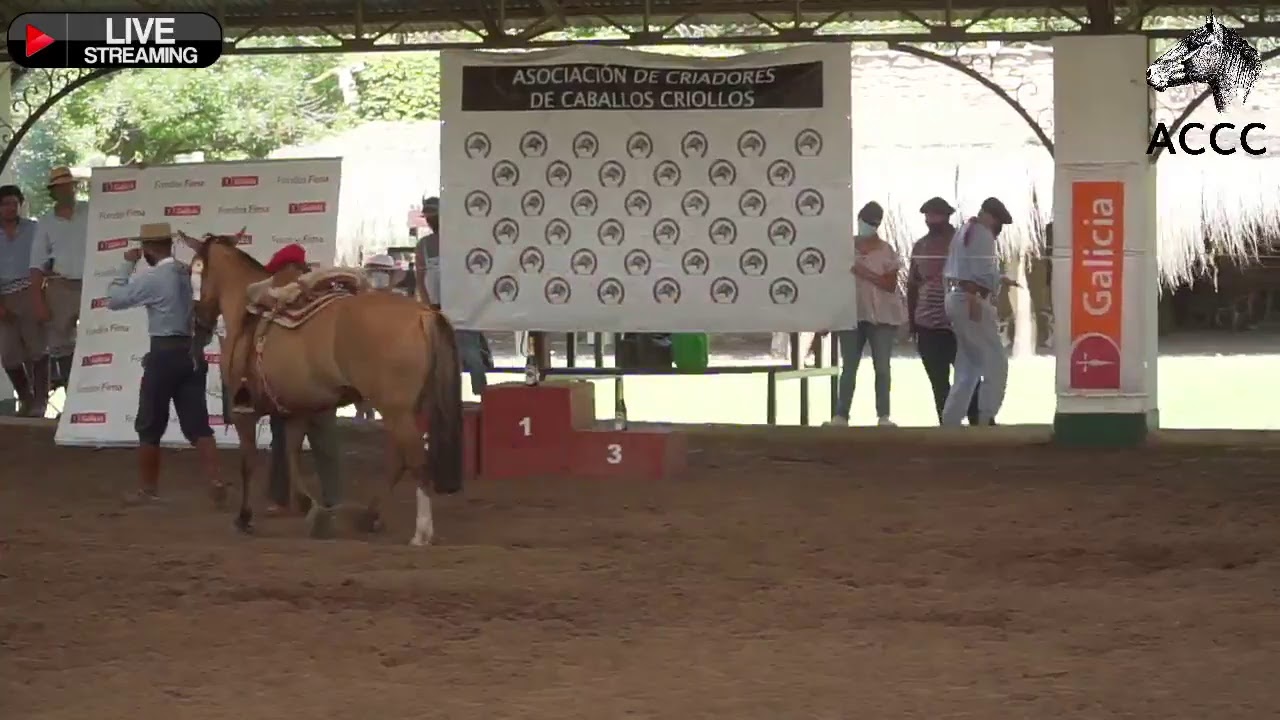 Final Nacional de la prueba Felipe Z. Ballester 