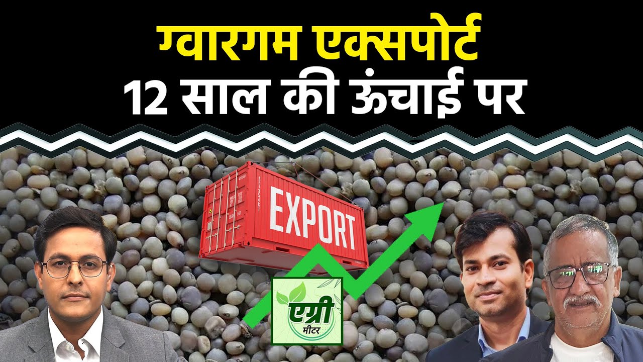Commodity Market : NCDEX पर ग्वारसीड, ग्वारगम में खरीदारी करें या बिकवाली? Trading | Agri Commodity