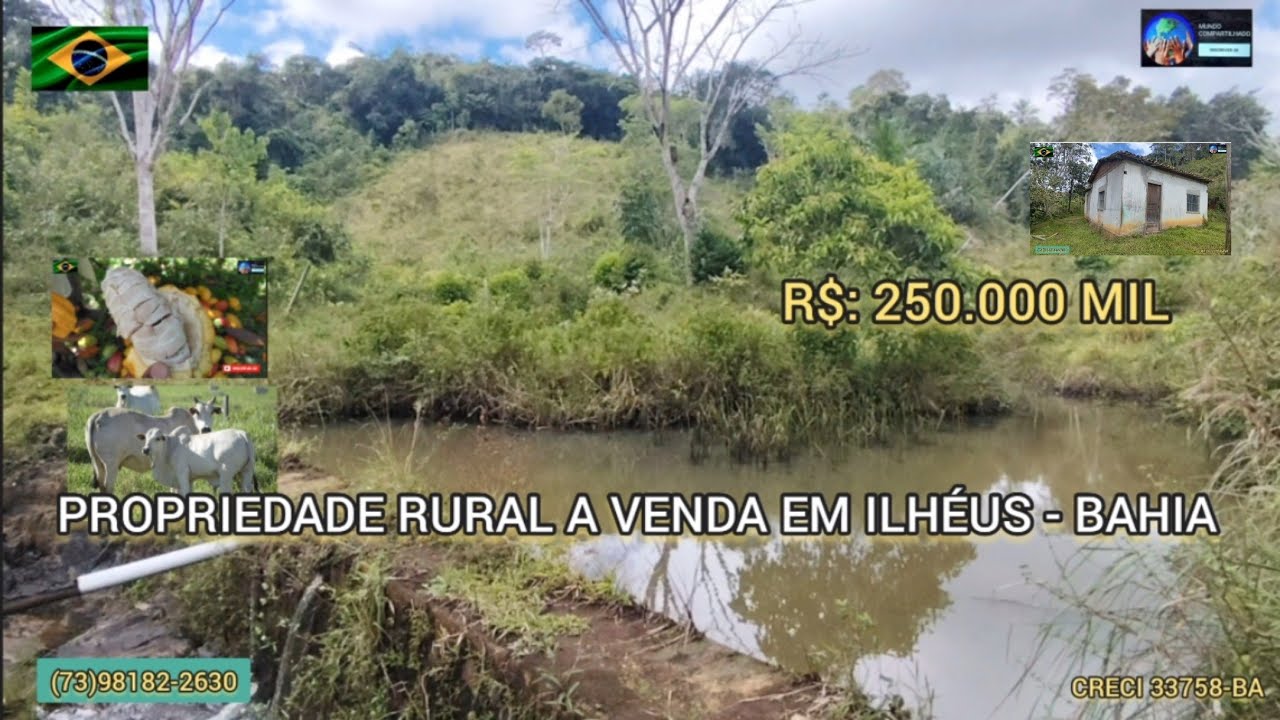 Sítio bom e barato com cachoeira,energia,cacau, frutíferas,casa, área de 32 hectares por R$: 250 MIL