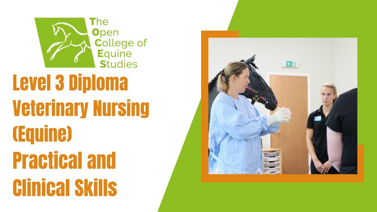 Level 3 Diploma Veterinary Nursing (Equine) Practical and Clinical Skills