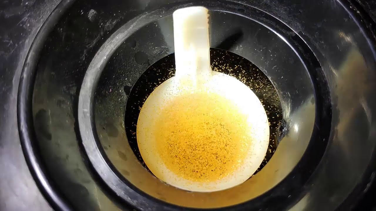Como ECLOSIONAR ARTEMIA para ALEVINES | alimento vivo MUY FACIL