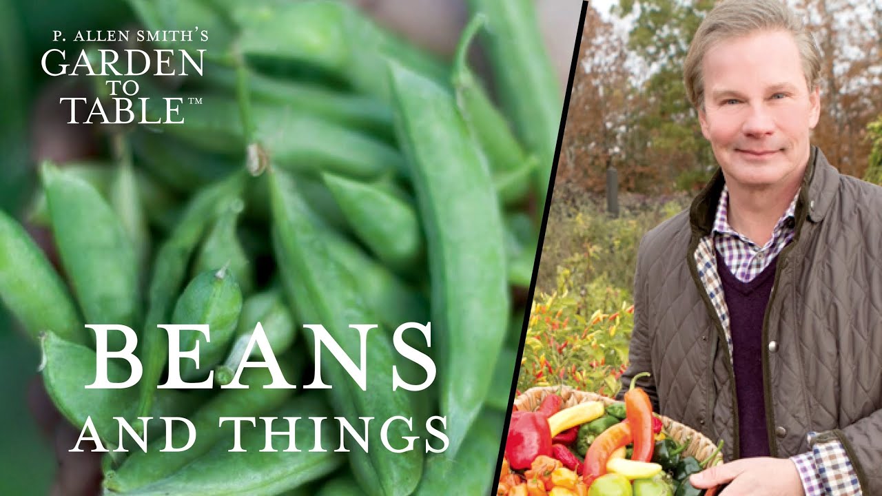 How to Make Vegetarian Recipes with Beans and Things  | G2T209