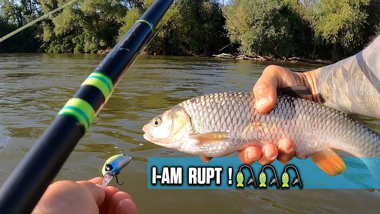 🎣 Am RUPT la CLEAN pe RAU! 🎣  Pescuit pe Muresul suburban ...