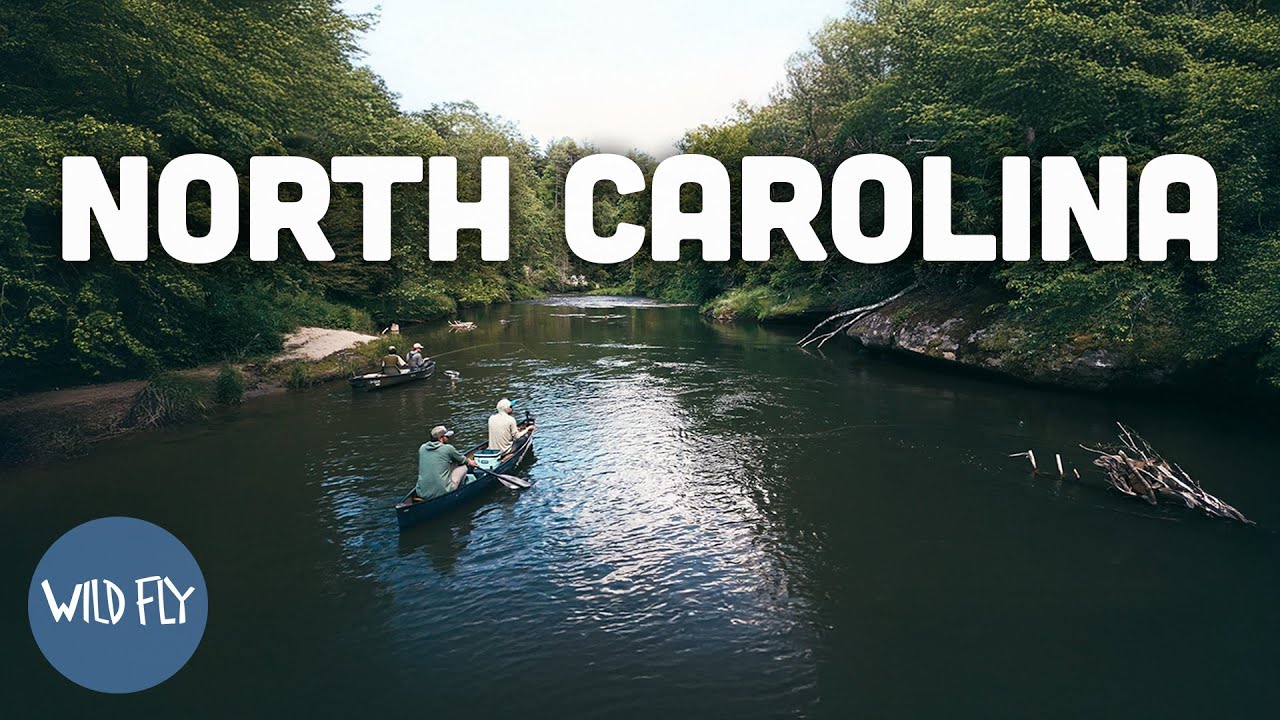 Fly Fishing Hidden Appalachian Trout Streams | High Country Homecoming