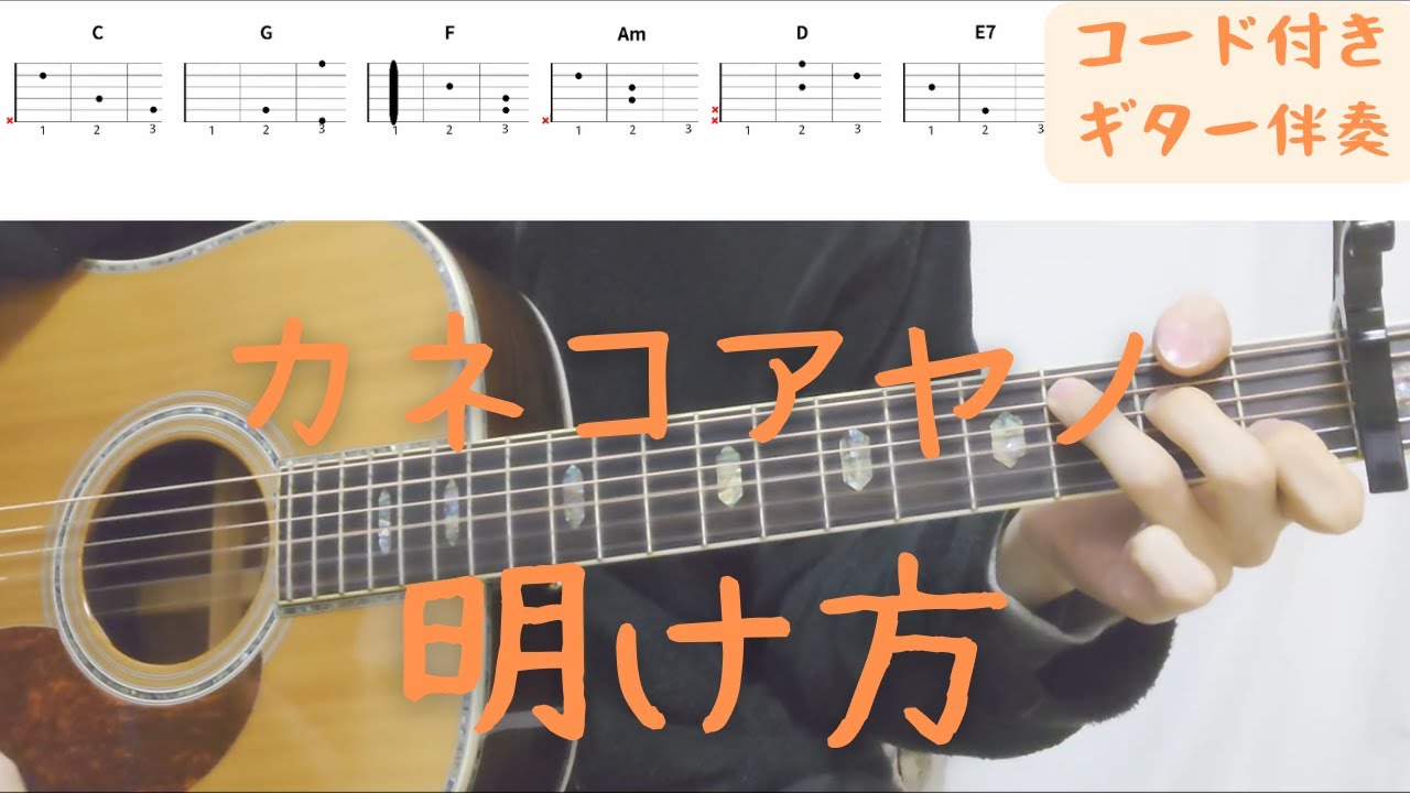 【ギターコード付き】カネコアヤノ/明け方【アコギ弾いてみた】