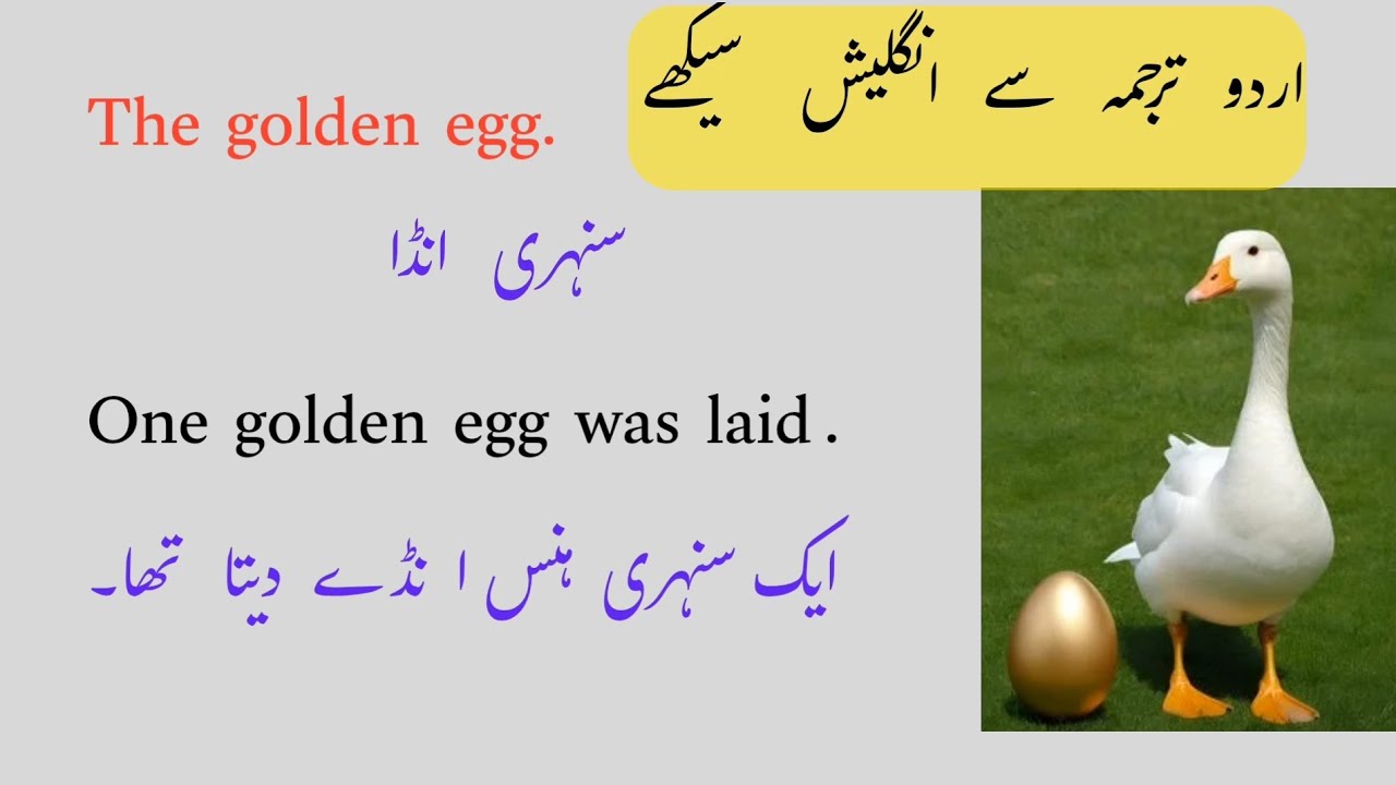 English story || Golden egg || With Urdu Translation | englishpadhnaseekhein |Englishreadingseekhein