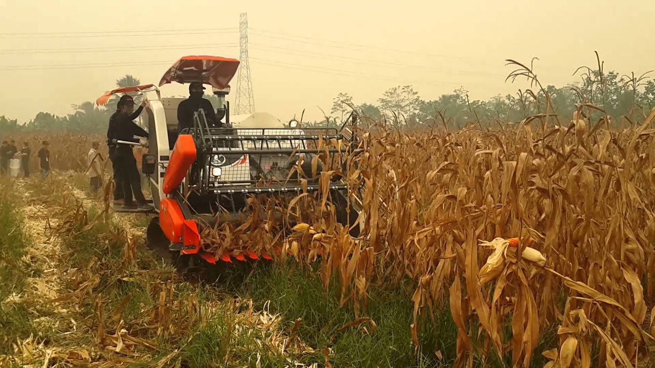 jual mesin panen jagung