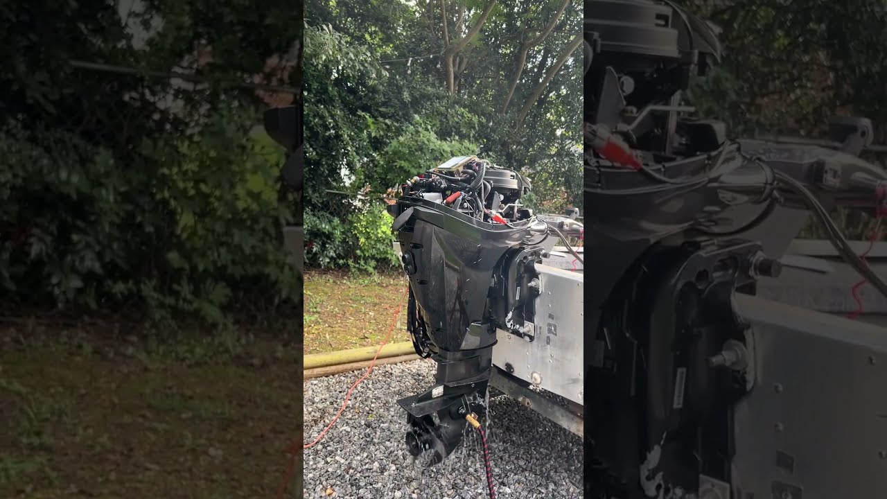 Evinrude e-tec 30 hp problem (read description)